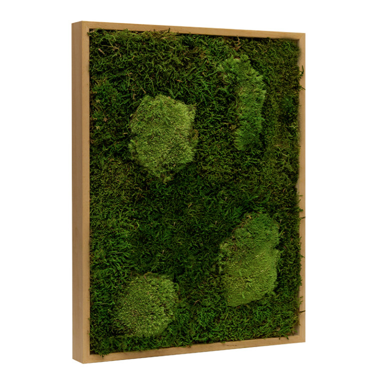 Mosschilderij Lappenmos-Bolmos 80x120 cm Eikenhout - Viborg