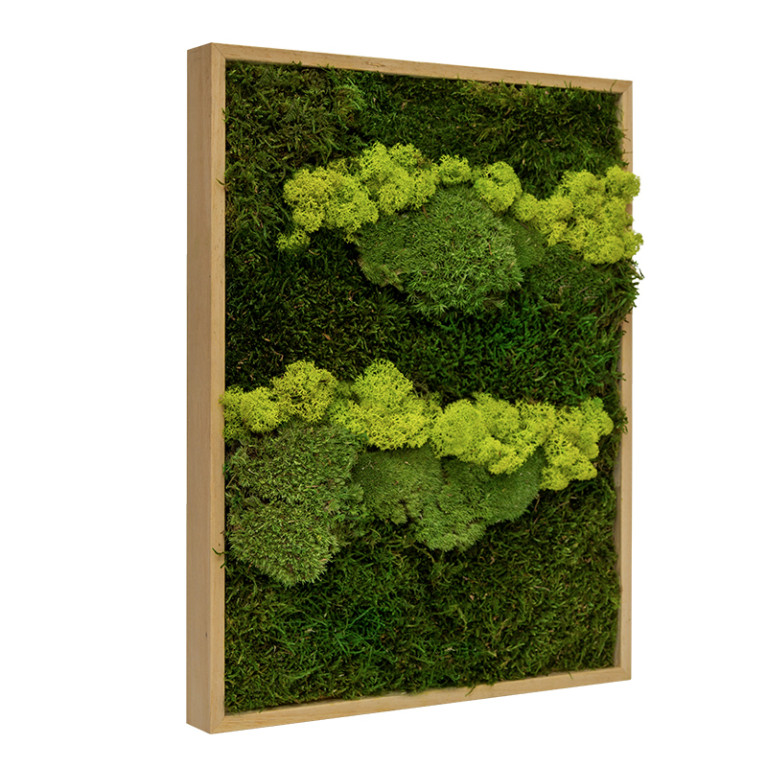 Mos Schilderij Lappenmos-Rendiermos-Bolmos 40x60 cm Eikenhout - Skive Lentegroen