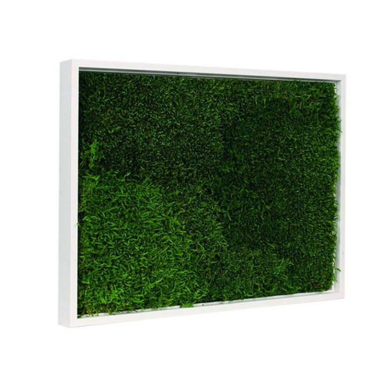 Mos Schilderij Lappenmos 80x120 cm Gebroken Wit