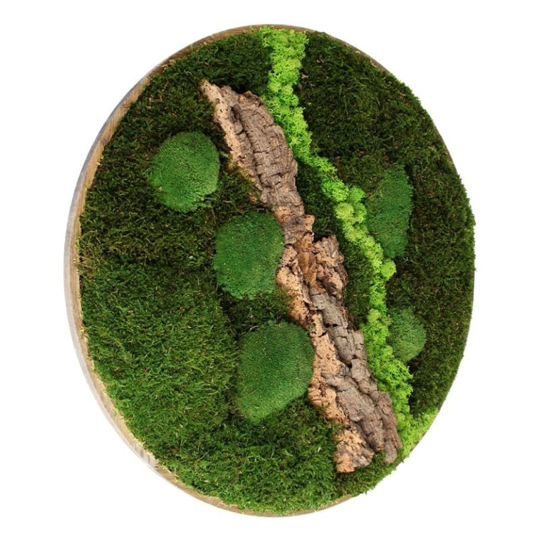 Vintlux Mosschilderij Rond 120 cm Ongelakt Eiken - Selfjord