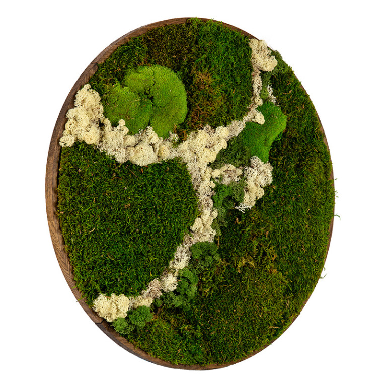 Mosschilderij Rond 20 cm Donker Acaciahout - Svendborg Latte