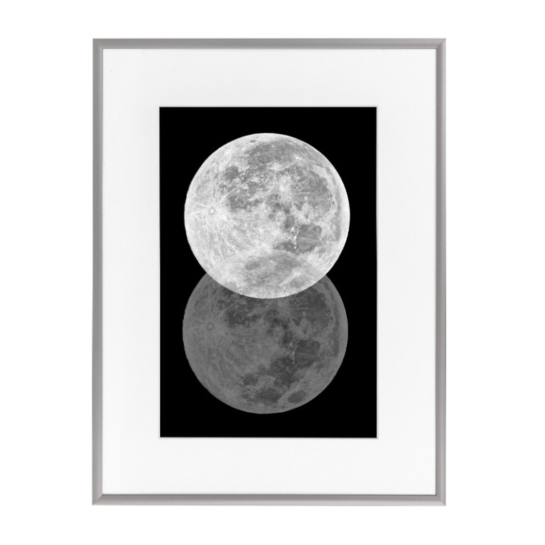 Wissellijst Budget Zilver 62x93cm met print
