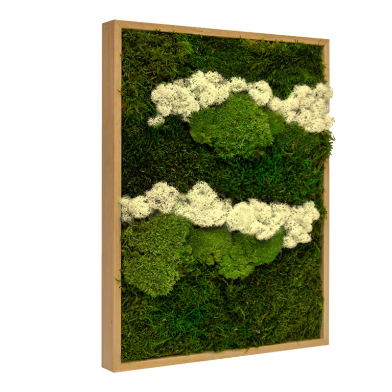 Mosschilderij Lappenmos-Rendiermos-Bolmos 40x60 cm Eikenhout - Skive Latte