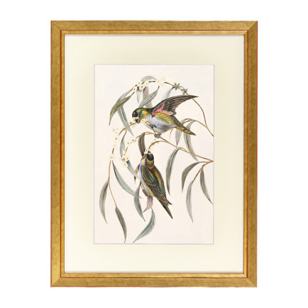 Fotolijst Tropez Goud 60x70 cm - Art Print en Passe Partout